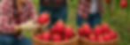 20250715_1356_Cosecha de Pitahaya Roja_simple_compose_01k07q1v2kf0jrqcc12vsk4nk9_edited.jp