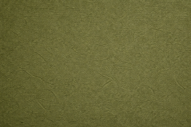a_digital_photograph_features_a_close_up_of_textur.png