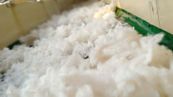 WhatsApp Image 2018-11-25 at 9.42.23 PM.