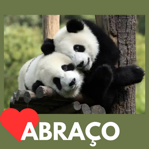 O abraço pode curar?