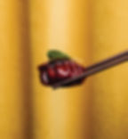 ree