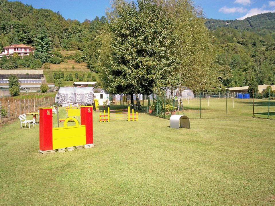 14610956_10207690222518570_2454048934139644802_n