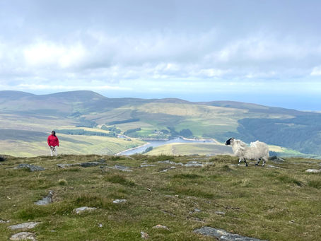 The Isle of Man – Top 10 Travel Tips