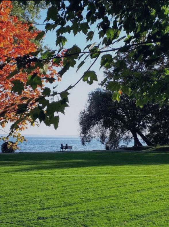 Protect and Expand Parks and Green Space graphic