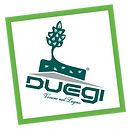 duegi- logo.png