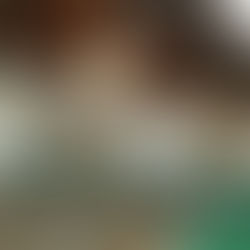 "قطاع الأكاديمية والتدريب" ينظم ورشة حول معايير الشراكة في برنامج دبي للأداء الحكومي المتميز