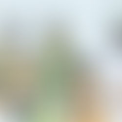 الفريق المري يطلع على الخطط المستقبلية لمجالس المبادرات الحكومية في شرطة دبي