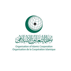 OIC denounces Houthi drones targeting Saudi Arabia
