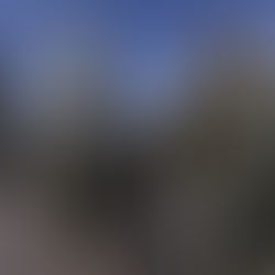 Insider attack feared days before Biden’s inauguration, service members in DC vetted by FBI