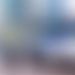 12 حملة مرورية توعوية لشرطة الشارقة خلال 2021