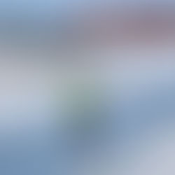 بتوجيهات محمد بن راشد.. إطلاق اسم "الحبارى" على نفق مسار الدراجات في سيح السلم بمنطقة القدرة في دبي