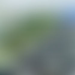 274 % زيادة في المركبات المسجلة بأبوظبي خلال الـ 15 عاماً الأخيرة