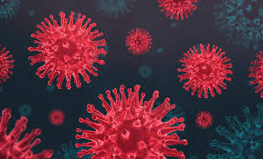 الصحة تجري 97,251 فحصا ضمن خططها لتوسيع نطاق الفحوصات وتكشف عن 674 إصابة جديدة بفيروس كورونا المستجد