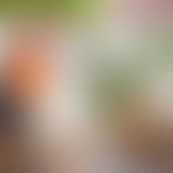 Mohammed bin Rashid receives letter to President from Emir of Kuwait