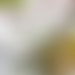 Mohammed bin Rashid receives GCC Summit invitation on behalf of UAE President