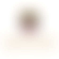 فريق الطوارئ والأزمات في الشارقة:تحويل الدراسة في المدارس والحضانات إلى التعليم عن بعد مئة بالمئة