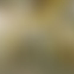 المحراب النبوي من معالم مسجد الرسول بالمدينة