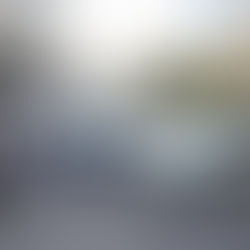 الكويت.. ضبط 3 متطرفين بحوزتهم أسلحة وذخائر