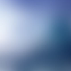 Al Maktoum Cup Traditional Rowing Race rescheduled for Saturday due to weather conditions