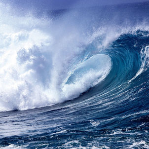 Al Maktoum Cup Traditional Rowing Race rescheduled for Saturday due to weather conditions