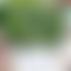 Mohammed bin Rashid receives Spanish Foreign Minister