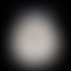 بيع مقعد مرحاض هتلر بنحو 19 ألف دولار