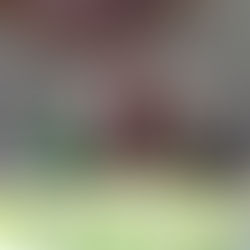 محمد بن سلمان: برنامج إيران النووي يهدد المنطقة والعالم