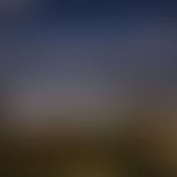 «سقطرى مضاءة على الدوام» بدعم الإمارات