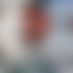 اليونيسيف تنقل توأمين سياميين من اليمن للأردن