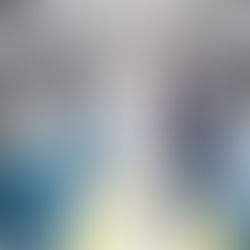 44 زيارة تعزز تواصل غرفة عجمان مع أعضائها خلال 2020