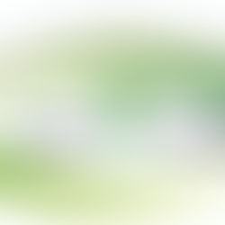 السعودية تكشف قضية فساد ضخمة تتجاوز قيمتها 11.5 مليار ريال