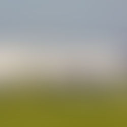 السعودية تعلق جميع الرحلات الجوية الدولية والدخول إليها من جميع المنافذ لمدة أسبوع