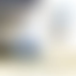 UAE military officials anticipate successful IDEX 2021, despite global challenges