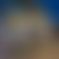 Dubai Mounted Police deploy 2298 horse patrols in 2020