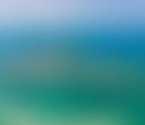 Abu Dhabi Department of Municipalities and Transport name Al Dhafra island ‘Alabaster Island’