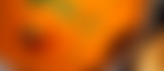 Sunflower Caffè Sonoma, CA