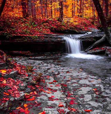 10.23-27.21_PixleyFallsStatePark-23.jpeg
