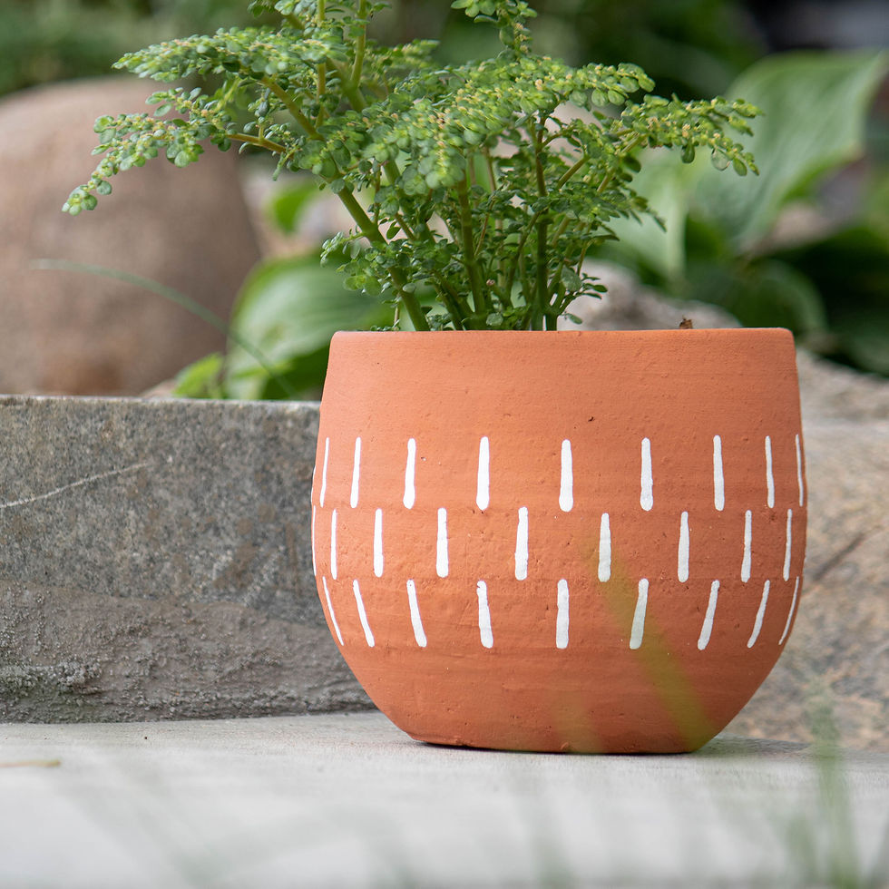 Anaise Terracotta Planter