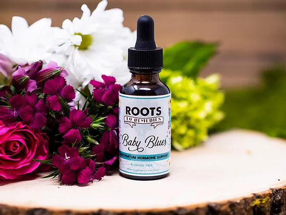 Baby Blues Postpartum Support