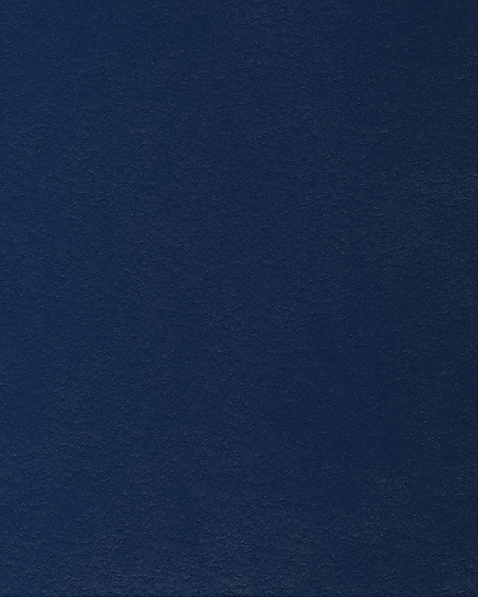 DULCIE'S WEB IMAGES (2).png