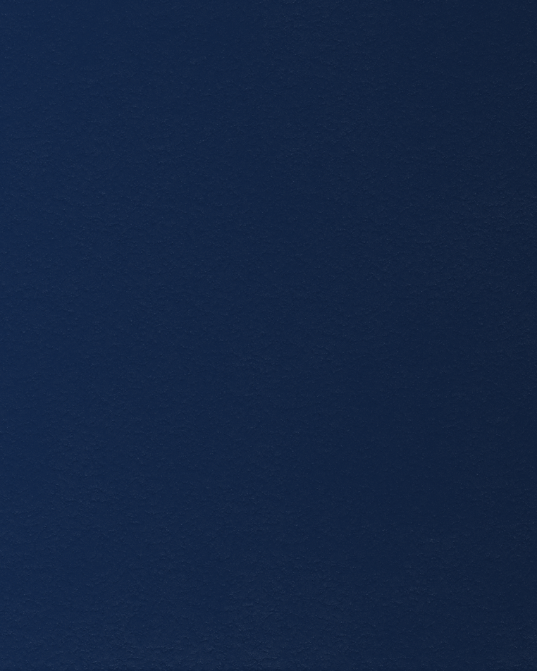 DULCIE'S WEB IMAGES (4).png