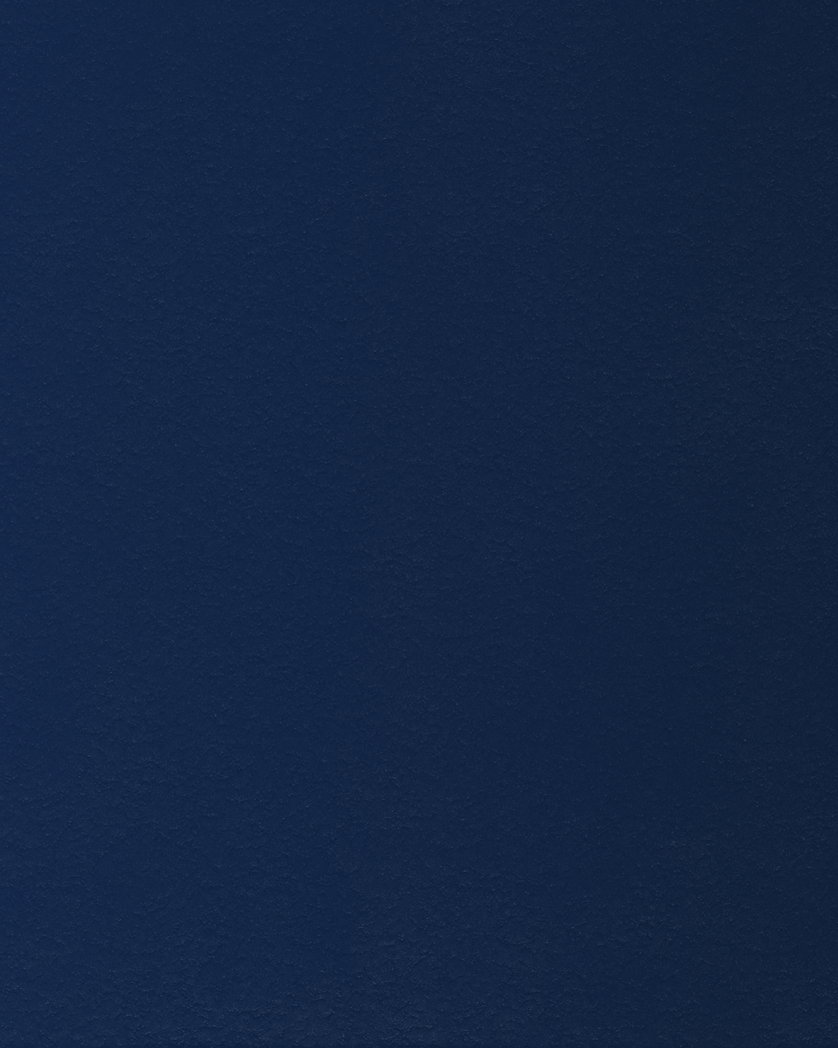 DULCIE'S WEB IMAGES (4).png