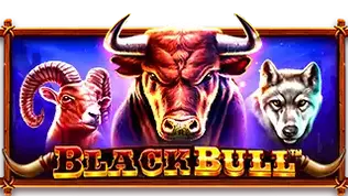 Black Bull