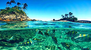 Captura de tela 2024-07-12 003157_edited.jpg