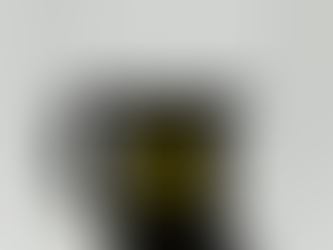 From Ingredient to Bottle: The Journey of Our Florena Vodka