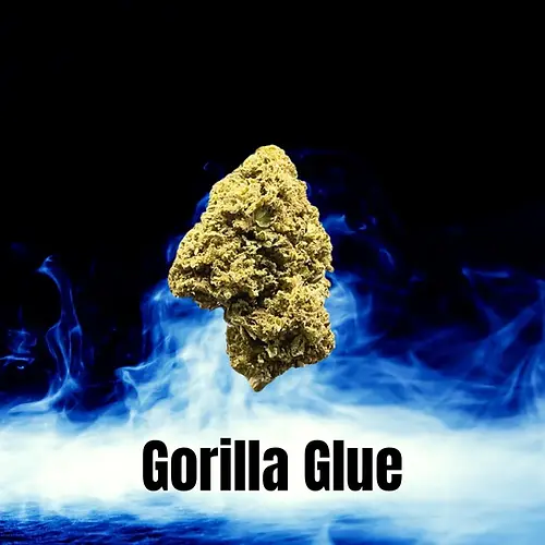 Gorilla Glue květ/pree-roll. T9THC. HHC rozvoz Praha. Rozvoz HHC Praha. HHC Praha. HHC Prague. Joint. HHC delivery Prague. HHC obchod. HHC store. Cannabis store. Cannabis shop. Smoke shop Praha.