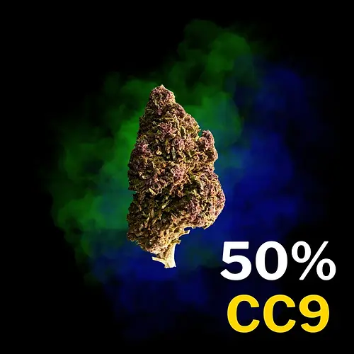 Blueberry Cookies. HHC rozvoz Praha. Rozvoz HHC Praha. HHC Praha. HHC Prague. Joint. HHC delivery Prague. HHC obchod. HHC store. Cannabis store. Cannabis shop. Smoke shop Praha.