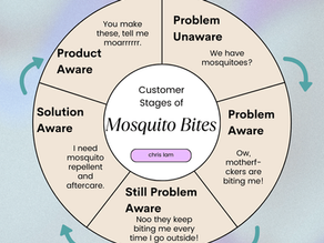 Customer stages of mosquito bites using Problem or Solution Aware diagram