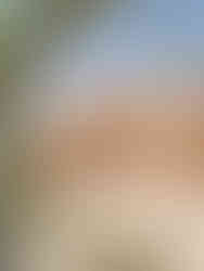 Templo de Ramesés II em Abu Simbel, Egipto