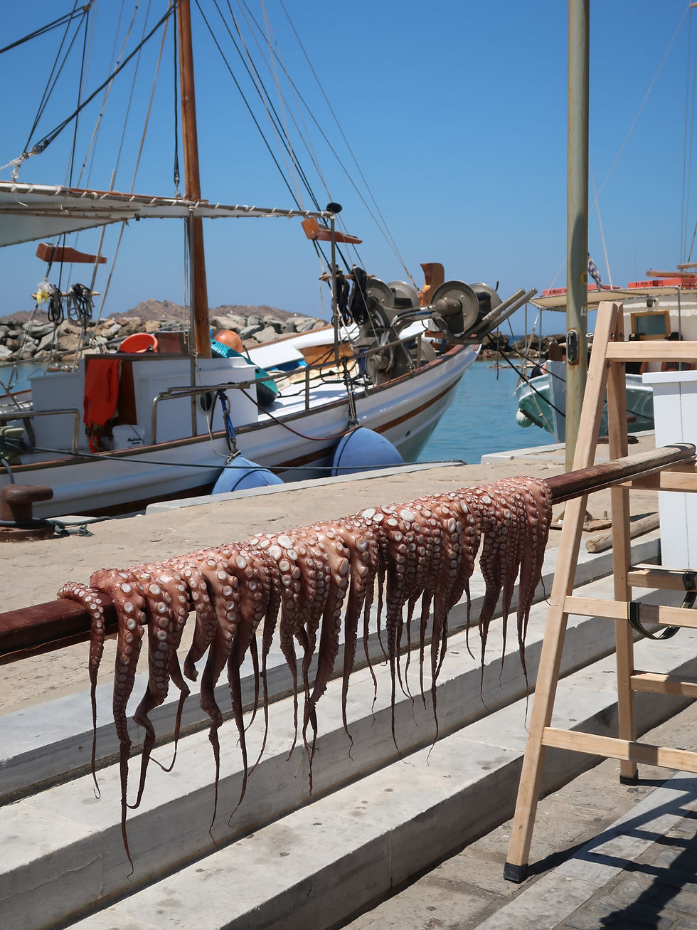 Tentáculos de polvo secando num cais, com barcos de pesca e céu azul ao fundo, em Naoussa, Paros, Grécia
